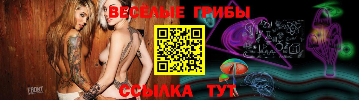 Псилоцибиновые грибы прущие грибы  Вход с VPN  Ревда 